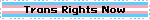 Trans Rights Now